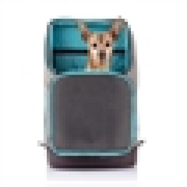 Rucksack Weg = Weg Grau / Braun Kurgo